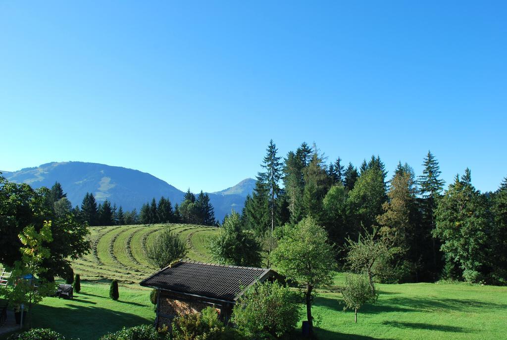 Berggasthof Bärnstatt Scheffau am Wilden Kaiser Exteriör bild